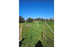Salir De Matos, Leiria 2500