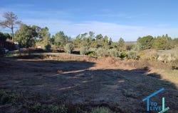Tomar, Santarém District 2305