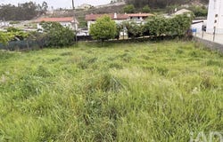 São Roque, Aveiro Municipality 3720