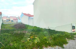 São Jacinto, Aveiro District