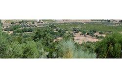 Vila de Frades, Beja District