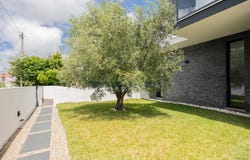 Caldas da Rainha - Nossa Senhora Do Pópulo, Coto, Leiria 2500