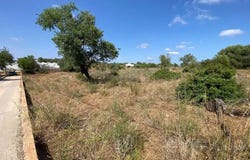 Olhão, Algarve 8700-132