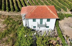 Vila Real, Vila Real District