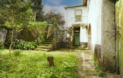 Vale de Cambra, Aveiro District