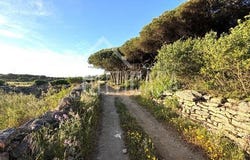 Sintra, Lisboa