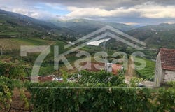 Peso Da Régua, Vila Real 5050