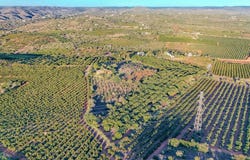 Silves, Algarve 8300