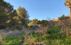 Budens, Algarve 8650
