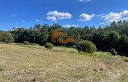 Midões, Coimbra 3420