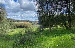 Salir de Matos, Leiria District
