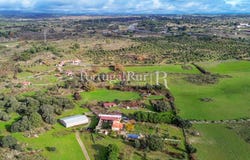 Alcains, Castelo Branco 6005