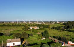 Pegões, Setúbal 2985