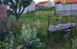 Santarém, Santarém