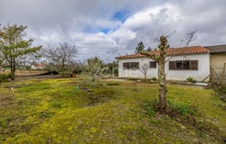 Marinha Grande, Leiria District