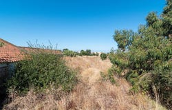 Alcochete, Setúbal 2890