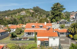 Camacha, Madeira 9135