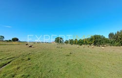 19 R. do Alecrim, Setúbal, Setubal 2985