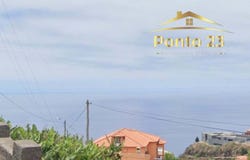 Ilha da Madeira, Madeira