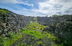 Madalena, Azores