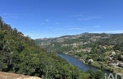 Tarouquela, Viseu 4690