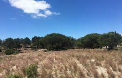 Comporta, Setúbal 7580
