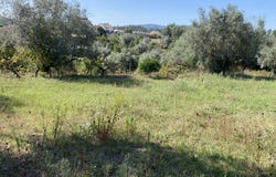 Vila Nova de Poiares, Coimbra District 3350-031