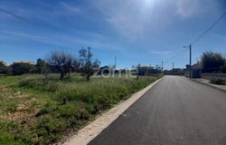 Pombal, Leiria District