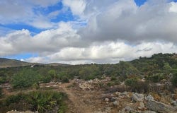 Olhão, Faro