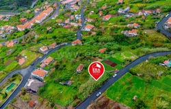 Faial, Madeira 9230