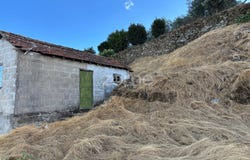 Sabrosa, Vila Real District