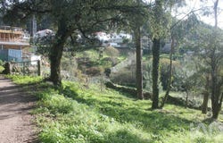Braga, Braga