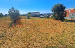 Brogueira, Santarém District
