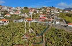 FUNCHAL, Madeira