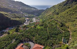 Tábua, Madeira 9350