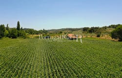 Chancelaria, Santarém 2350