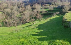 Baião, Porto District