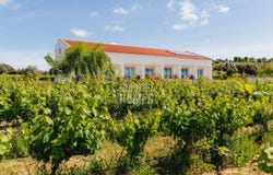 Vila De Frades, Beja 7960