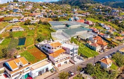 Canhas, Madeira 9360