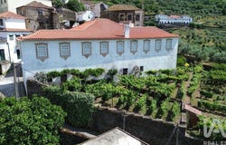 Vilarinho Dos Freires, Vila Real 5050