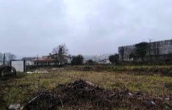 Vila Verde e Barbudo, Braga