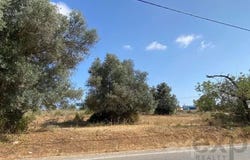 Olhão, Algarve 8700-132