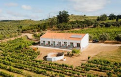 Vila De Frades, Beja 7960
