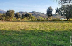 Castelo Branco, Castelo Branco District