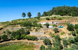 Monchique, Algarve 8550