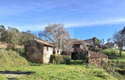 Alcobaça, Leiria District