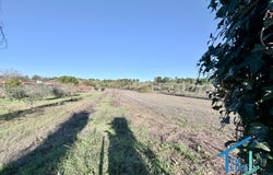 Tomar, Santarém District 2305-425