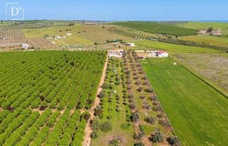 Baleizão, Beja 7800