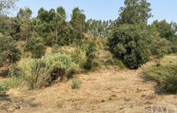 Leiria, Leiria District