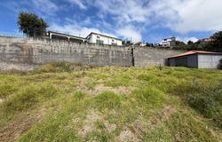Canhas, Madeira 9360
